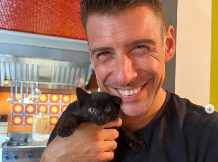 Francesco Gabbani e il gatto - oggi24.it credit Instagram