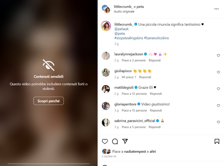 Il video di Elisabetta Canalis sul suo profilo Instagram - oggi24.it credit Instagram